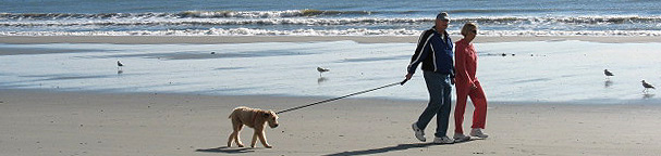 on the beach